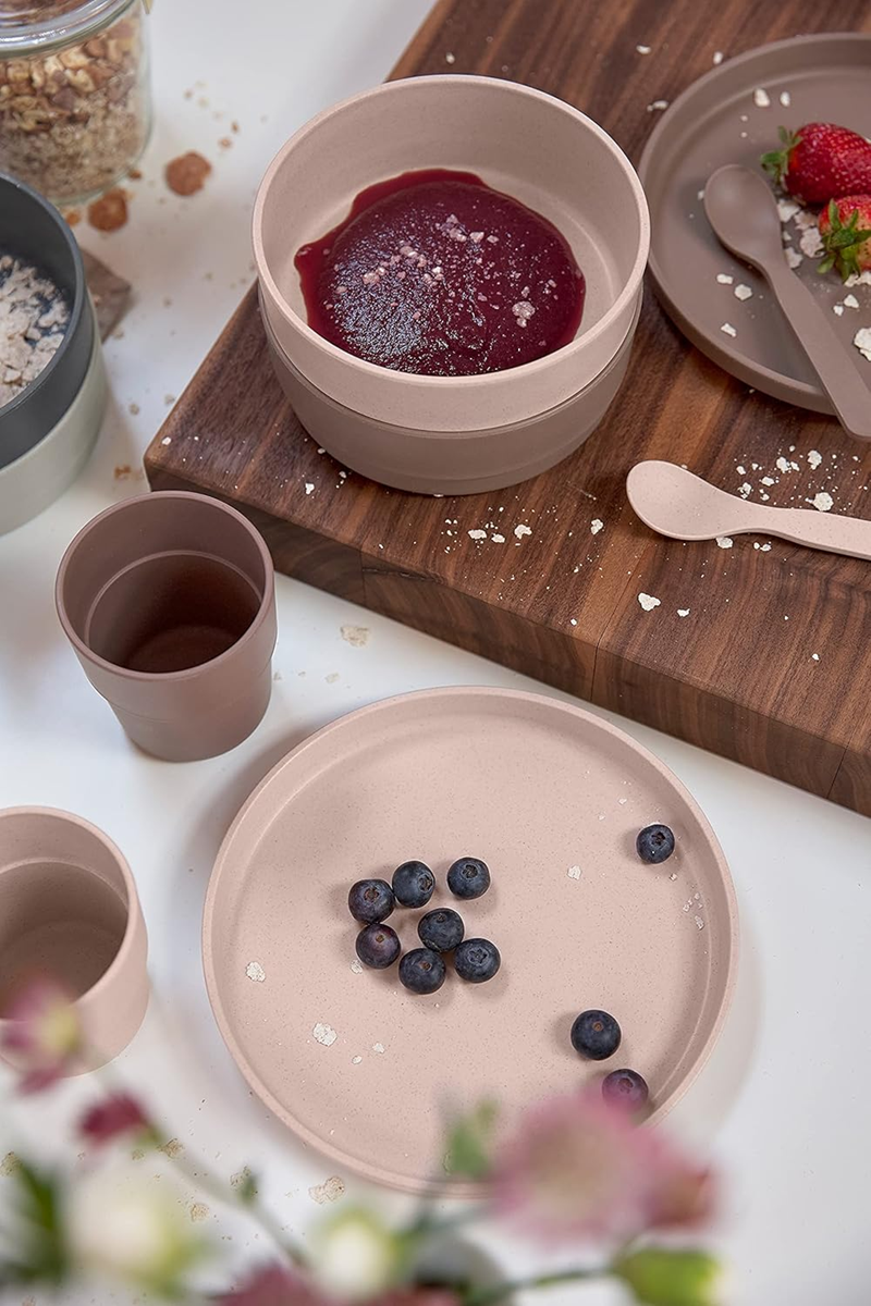 LASSIG plate