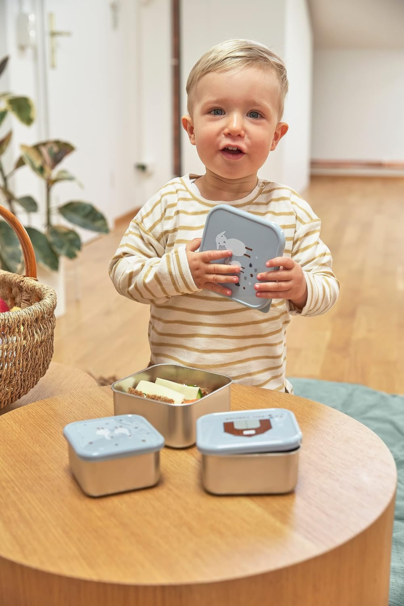 LASSIG Snackbox Edelstahl BROTZEITDOSEN x3