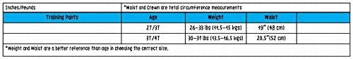 ZOOCCHINI majtki treningowe 2-3lata ORGANIC