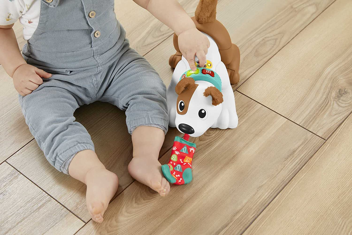 FISHER-PRICE HGY00 interactive german dog