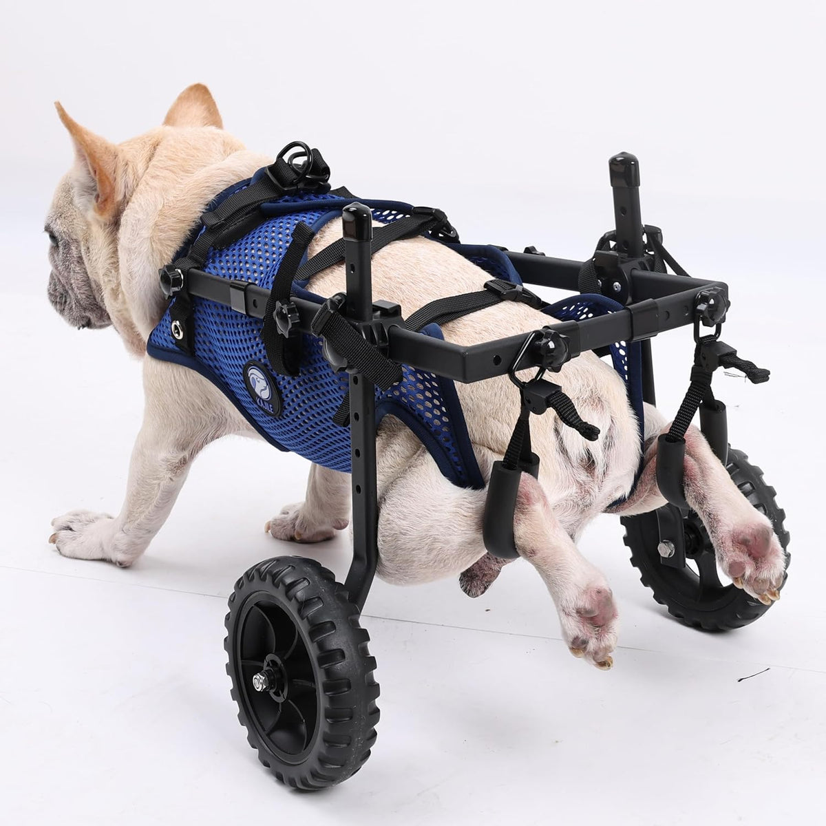 Kajile foldable stroller for small dogs XS