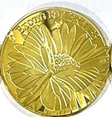 BRADOC Gouden metalen tandenfee munt voor onder het kussen 4 cm VLINDER