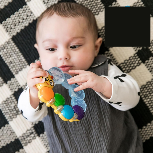 BABY EINSTEIN anneau de dentition réfrigérant et massant avec hochet CHENILLE 3 m+