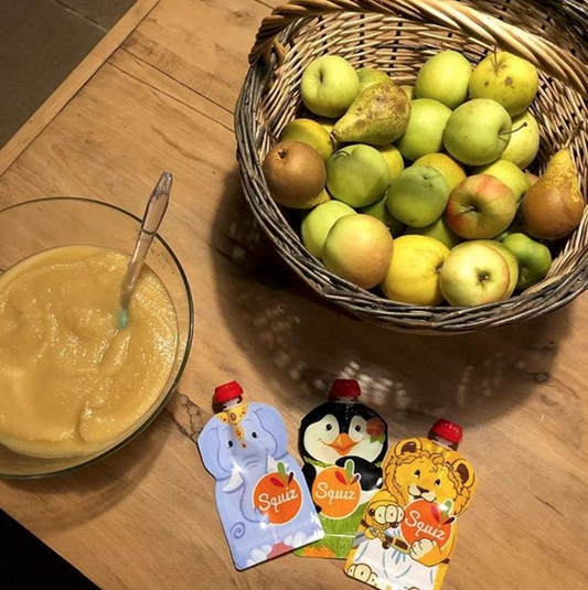 SQUIZ gourdes réutilisables pour compote x5