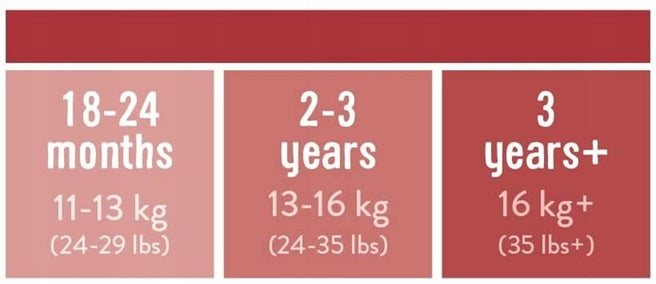 BAMBINO MIO mutandine da allenamento bianche 3 anni+