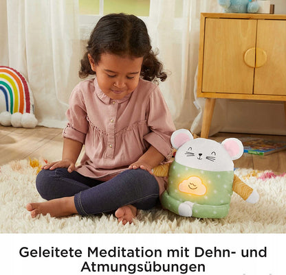 FISHER-PRICE meditatieratje, knuffel ter kalmering J.DE