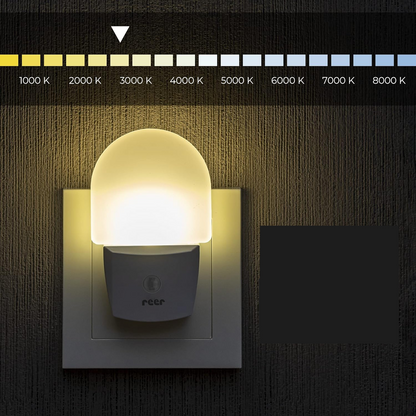 REER NightGuide LED night light for an outlet, darkness sensor, 6 x 9.5 cm