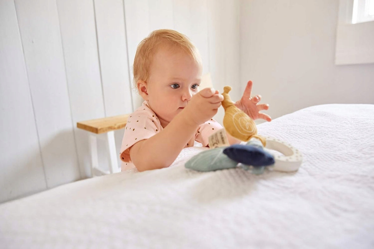 LASSIG teether din cauciuc și jucării din bumbac organic Snail