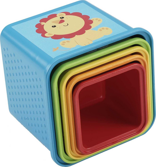FISHER-PRICE Stack & Explore Blocks blocs de différentes tailles 5 pièces