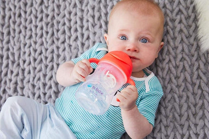 B.BOX Sippy Cup cană anti-vărsare 240 ml 6 luni+