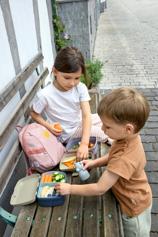Lässig Tiny Outdoor Cloud lunch box with removable insert