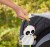 FISHER-PRICE FGH91 csörgős babakocsi és autósülés függő, 37 cm PANDA