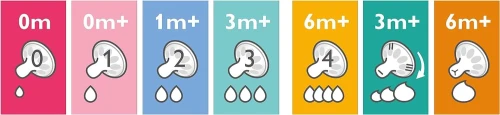 PHILIPS AVENT Classic+ Anti-colic cumik 0hó+ x2