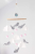 f737ed4c5ad1c200a58f2b99eb5f3ebc.png