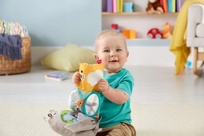 FISHER-PRICE érzékszervi fejlesztő könyvecske 3 hó+
