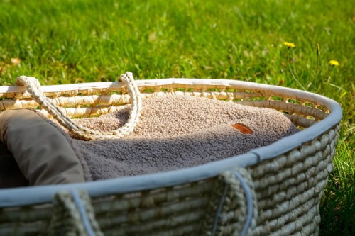 foto_add-58688.jpg