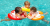 d719c2b09010ae8ce95f772643605f31.png